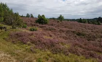 IMG-20250825-WA0043